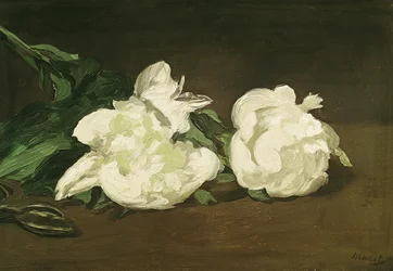 Branch of White Peonies and Secateurs, 1864